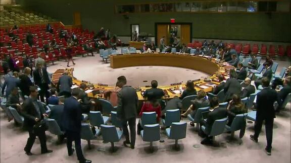 8156th Security Council Meeting: Situation in West Africa and Sahel