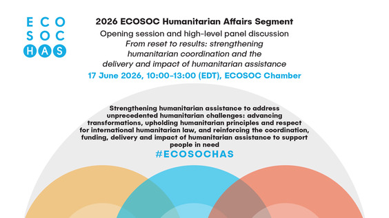 Economic and Social Council, 28th Plenary Meeting