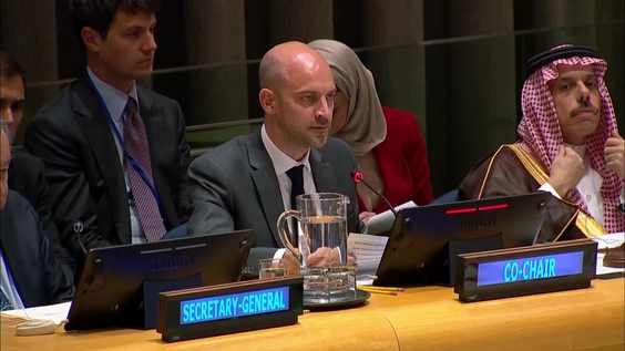 United Nations High-Level International Conference on "The Peaceful Settlement of the Question of Palestine and the Implementation of the Two-State Solution" - Ministerial meeting and wrap-up session