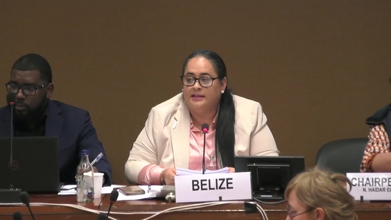 2130th Meeting, 90th Session, Committee on the Elimination of Discrimination against Women (CEDAW)