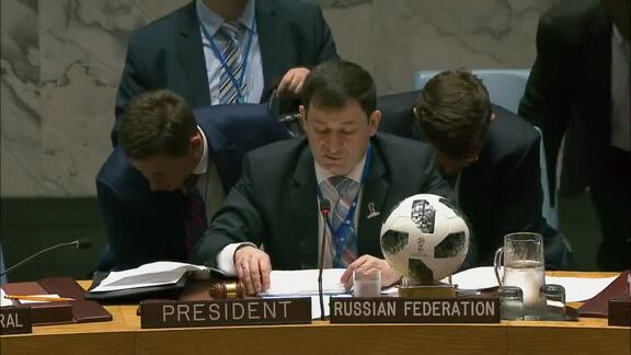 8298th Security Council Meeting: Situation in Mali