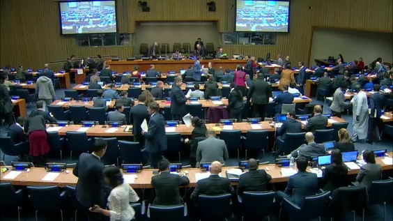 First Committee, 22nd meeting - General Assembly, 74th session