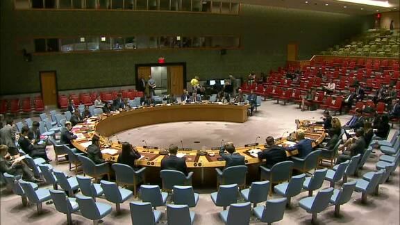 8011th Security Council Meeting: Situation in Middle East, Including Palestinian Question - Part 2