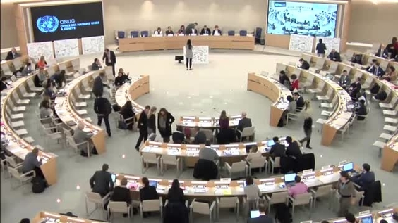 National actions plans and access to remedy - Forum on Business and Human Rights 2017