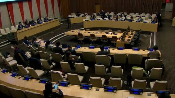 Executive Board of UNDP, UNFPA and UNOPS (First regular session 2020, 3-6 February 2020) - 8th meeting