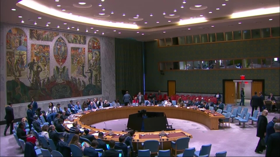 The situation in Bosnia and Herzegovina - Security Council, 10028th meeting