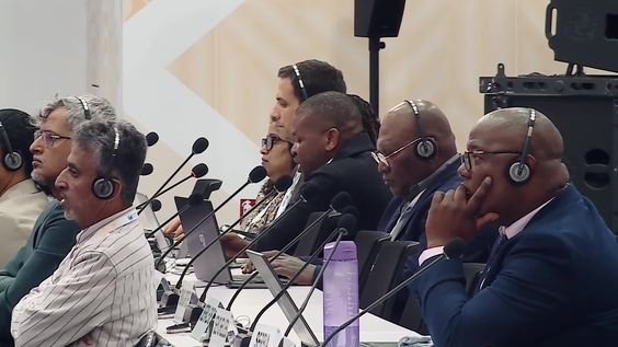 (2nd Meeting) Committee on Science and Technology - UNCCD COP17