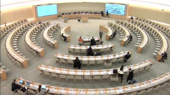 Panel Discussion on Non-judicial Remedy- Forum on Business and Human Rights 2016