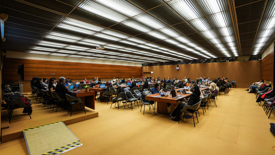 2064e réunion, 88e session, Comité pour l&#039;élimination de la discrimination à l&#039;égard des femmes (CEDAW)