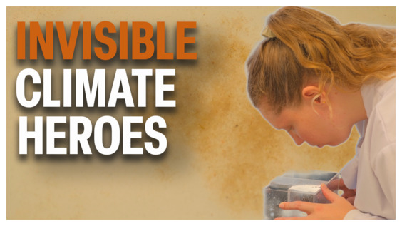 Plankton: Invisible Climate Guardians