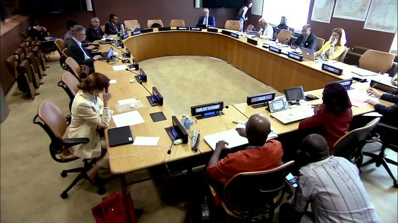 (2nd meeting) 31st meeting of the Chairs of the human rights treaty bodies (24-28 June)