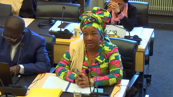 2911th Meeting, 100th Session, Committee on the Rights of the Child (CRC)