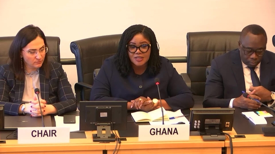 2911th Meeting, 100th Session, Committee on the Rights of the Child (CRC)