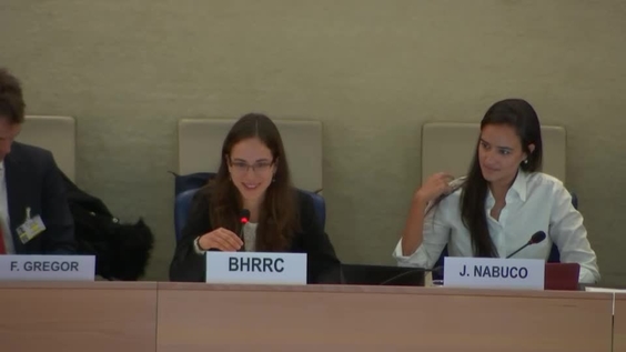 Panel on Lessons from Legal Developments - Forum on Business and Human Rights 2018