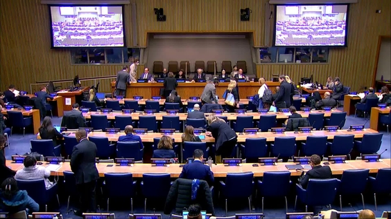 4th plenary meeting - 62nd Session of the Commission for Social Development (CSocD62)