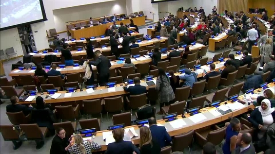 Third Committee, 55th meeting - General Assembly, 73rd session