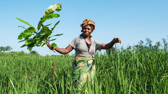 From Doha commitments to action for Social Justice