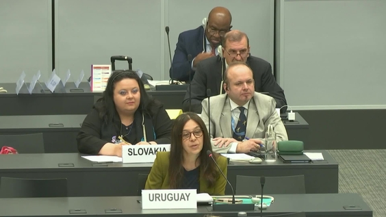 6th meeting, 2nd CSP9 Informal Preparatory Meeting - Arms Trade Treaty