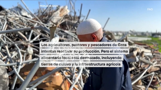 Los agricultores y ganaderos gazatíes necesitan ayuda para reactivar sus actividades
