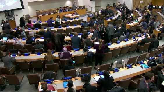 Third Committee, 49th meeting - General Assembly, 74th session
