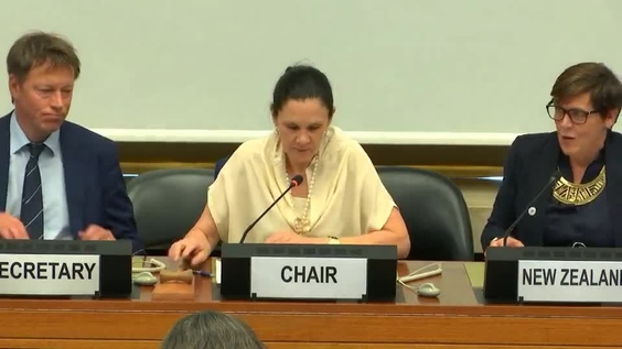 Consideration of New Zealand (Cont'd) - 1617th Meeting 70th Session Committee on the Elimination of Discrimination Against Women 