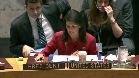 7919th Security Council Meeting: Situation in Middle East; Syria