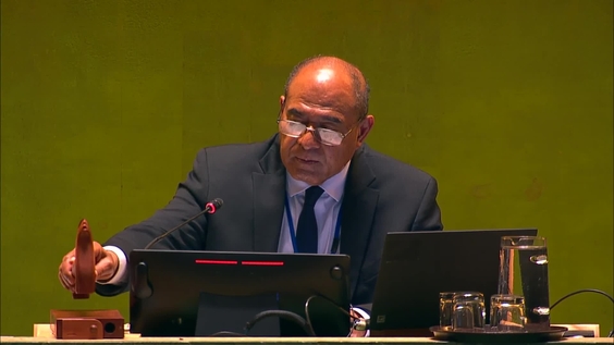 General Assembly: 62nd plenary meeting, Tenth emergency special session