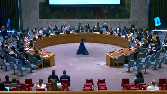 The situation in the Central African Republic - Security Council, 9673rd meeting