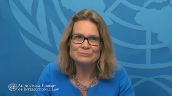 Larissa van den Herik - International Commissions of Inquiry