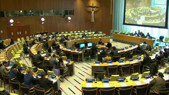 Sixth Committee, 29th meeting - General Assembly, 72nd session