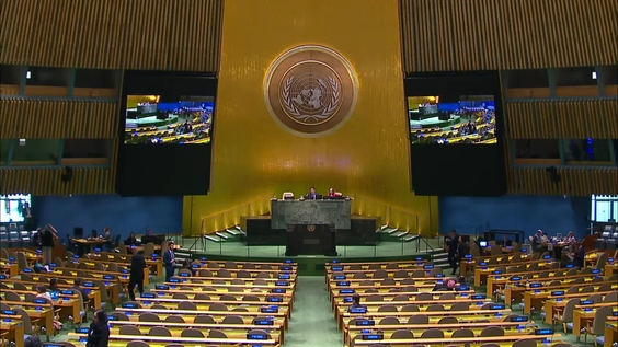 General Assembly: Tenth emergency special session (resumed), 44th plenary meeting