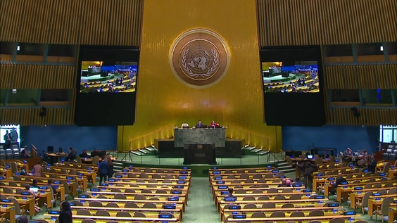 General Assembly: Tenth emergency special session (resumed), 44th plenary meeting