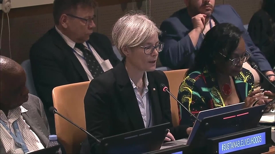 Redefining the Future: Decent work and sustainable livelihood for persons with disabilities (COSP17 Side Event)