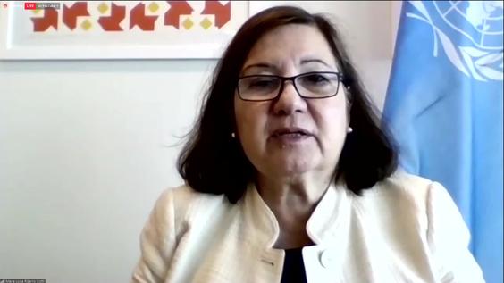 Virtual Launch of the Group of friends in defense of the Charter of the United Nations