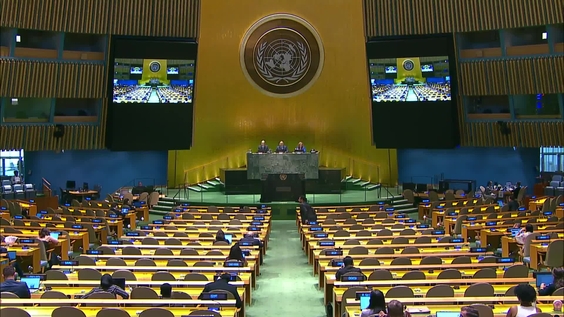 General Assembly: Reform of the Security Council - Informal meeting of the plenary, 78th session