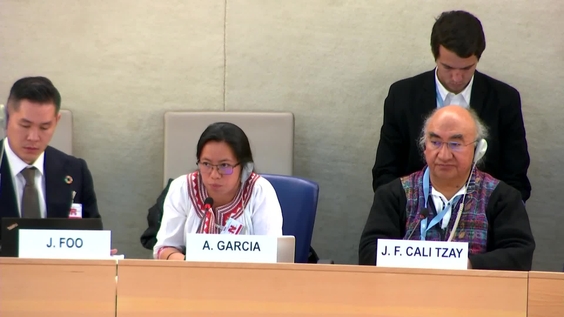 Upholding the rights of Indigenous Peoples in the green economy - Forum on Business and Human Rights 2023