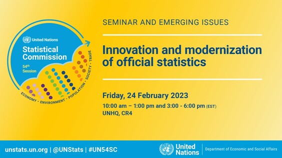 2nd Meeting - Friday Seminar on Emerging Issues: Innovation and modernization of official statistics (54th Statistical Commission Side Event)
