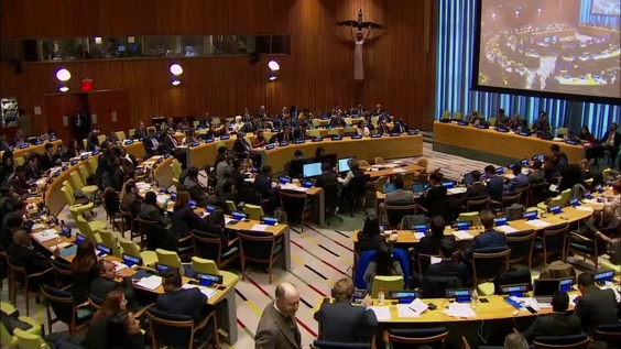 First Committee, 31st meeting - General Assembly, 73rd session