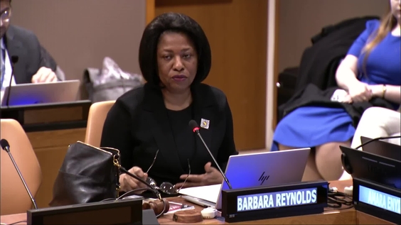 (9th meeting) Working Group of Experts on People of African Descent, 35th session