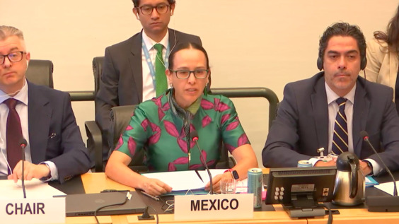 3052nd Meeting, 112th Session, Committee on the Elimination of Racial Discrimination (CERD)