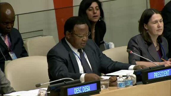 17th Plenary Meeting of Economic and Social Council