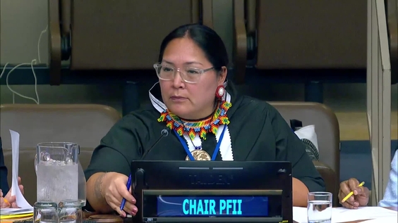 (6th meeting) UN Permanent Forum on Indigenous Issues, 24th session