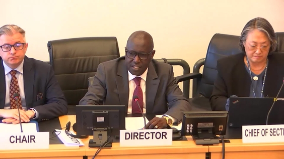 3145th Meeting, 115th Session, Committee on the Elimination of Racial Discrimination (CERD)