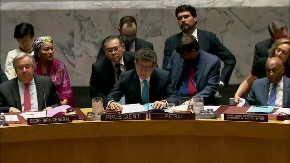 8233rd Security Council Meeting: Situation in Middle East