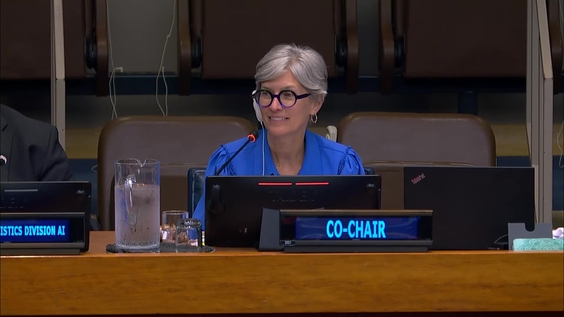 (6th meeting) Sixteenth session of the United Nations Committee of Experts on Global Geospatial Information Management (UN-GGIM)