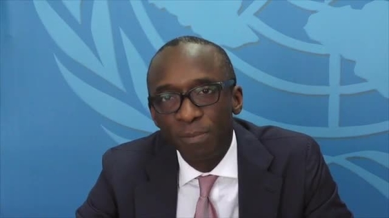 Olufemi Elias - An Introduction to the Law of the International Civil Service
