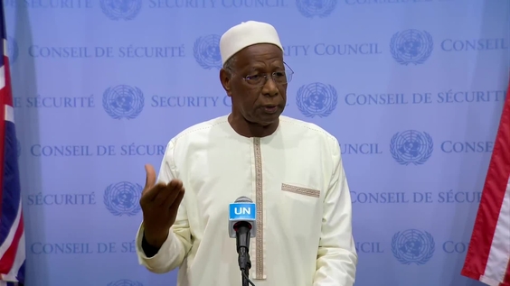 Abdoulaye Bathily (Special Representative) on the situation in Libya- Security Council Media Stakeout