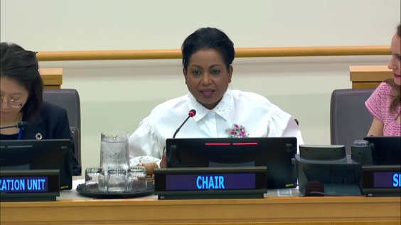 (8th plenary meeting) Special Committee on Decolonization (C-24) - 2024 resumed session