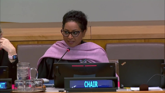 (11th Plenary meeting) Special Committee on Decolonization (C-24) - 2025 session