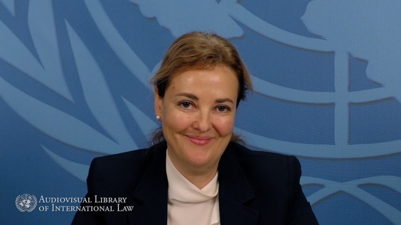 Annyssa Bellal - The Responsibility of Armed Non-State Actors in Armed Conflicts